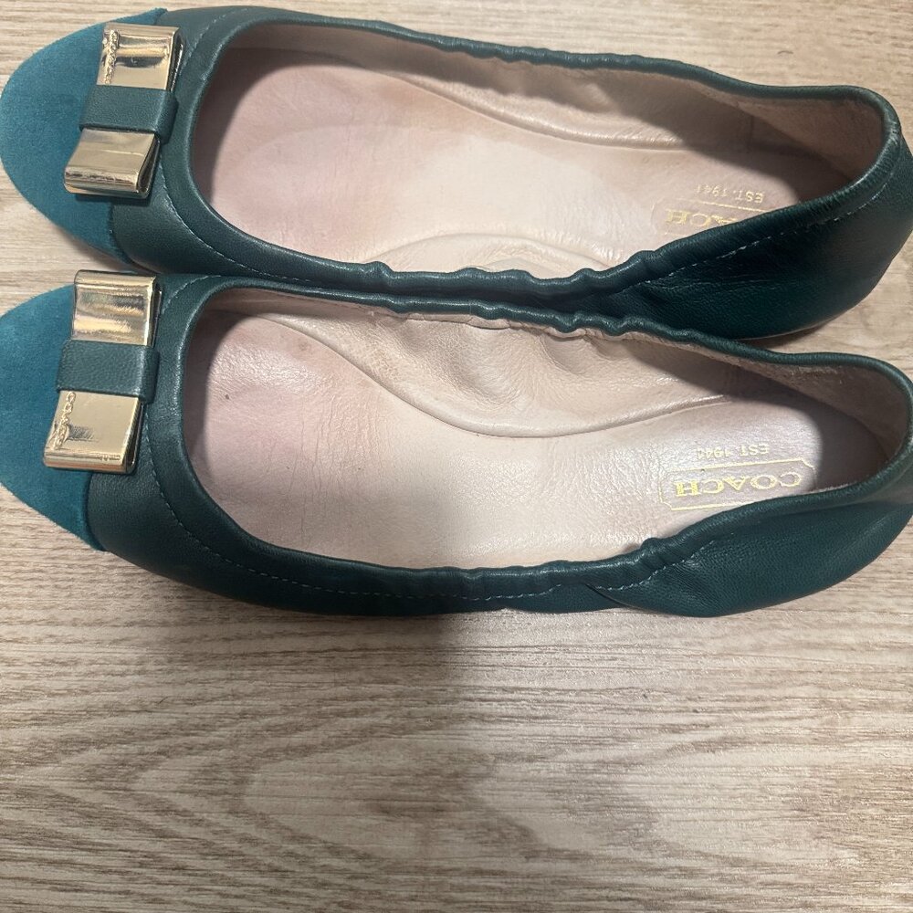 Coach shoes